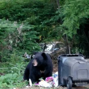 Meet your Posher, Brent